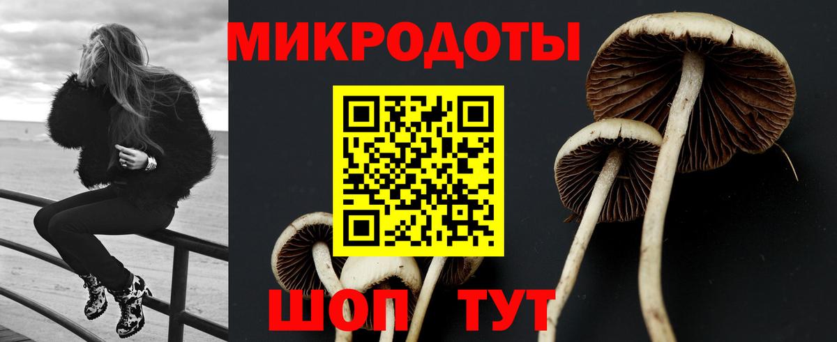 Псилоцибиновые грибы Psilocybe  Вход с VPN  цена наркотик  Будённовск 